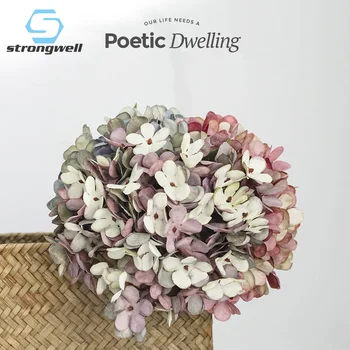 Strongwell Nordic Silk Fake Flower Single Brazilian Hydrangea Simulation Flower Textured Wedding Decorative Home Decoration 
Strongwell Nordic Silk Fake Flower Single Brazilian Hydrangea Simulation Flower Textured Wedding Decorative Home Decoration
