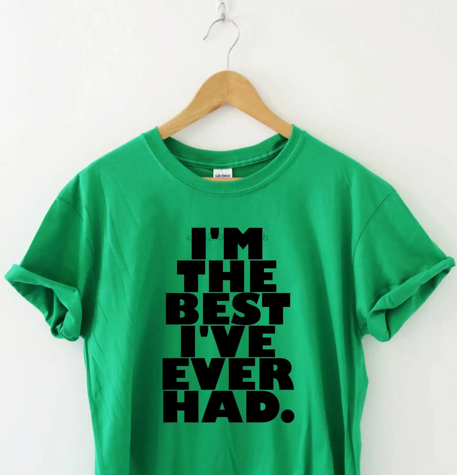 best ive ever had humour tshirt funny t shirt humor tee slogan