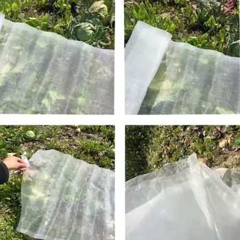 40/80 Mesh Insect Mosquito Net Insect Barrier Plant Protection Net Dustproof Nylon Mesh Screen Mesh Insect Net
40/80 Mesh Insect Mosquito Net Insect Barrier Plant Protection Net Dustproof Nylon Mesh Screen Mesh Insect Net