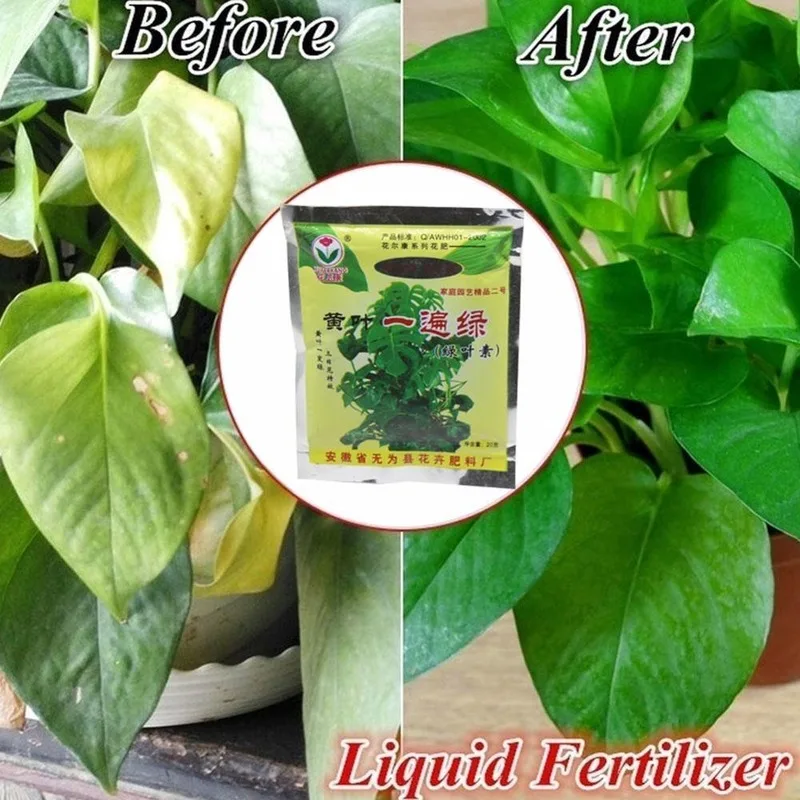 1Pc 20g Yellow Leaf Once Again Green Fertilizer for Gardening Transplanting Plants Simple, Convenient and Durable Fertilizer
1Pc 20g Yellow Leaf Once Again Green Fertilizer for Gardening Transplanting Plants Simple, Convenient and Durable Fertilizer