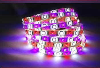 100m/lot 5050 RGBW/RGBWW led flexible strip waterproof led tape 60led/m DC12VRGB+White,RGB+Warm White
100m/lot 5050 RGBW/RGBWW led flexible strip waterproof led tape 60led/m DC12VRGB+White,RGB+Warm White