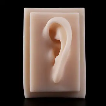 Human Soft Silicone Left Ear Model Life Size Acupuncture Study Practice Tool Teaching Resources For Medical Science
Human Soft Silicone Left Ear Model Life Size Acupuncture Study Practice Tool Teaching Resources For Medical Science