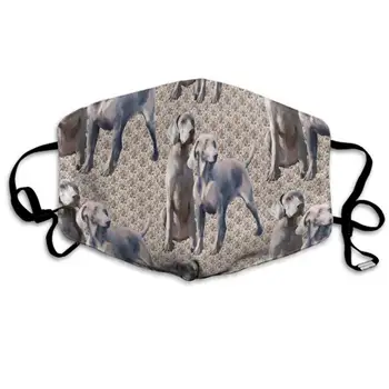 CIGOCI Mouth Mask Dog Weimaraners Earloop Face Masks - Adjustable Elastic Band for Skate Climbing, Anti-Dust Respirator, Half
CIGOCI Mouth Mask Dog Weimaraners Earloop Face Masks - Adjustable Elastic Band for Skate Climbing, Anti-Dust Respirator, Half