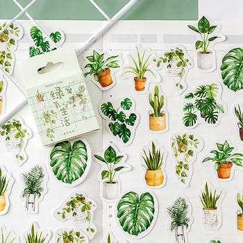 45Pcs/Set Green Plants Paper Small Diary Japanese Cute Box Stickers Set Scrapbooking Cute Journal Stationery Sticker
45Pcs/Set Green Plants Paper Small Diary Japanese Cute Box Stickers Set Scrapbooking Cute Journal Stationery Sticker