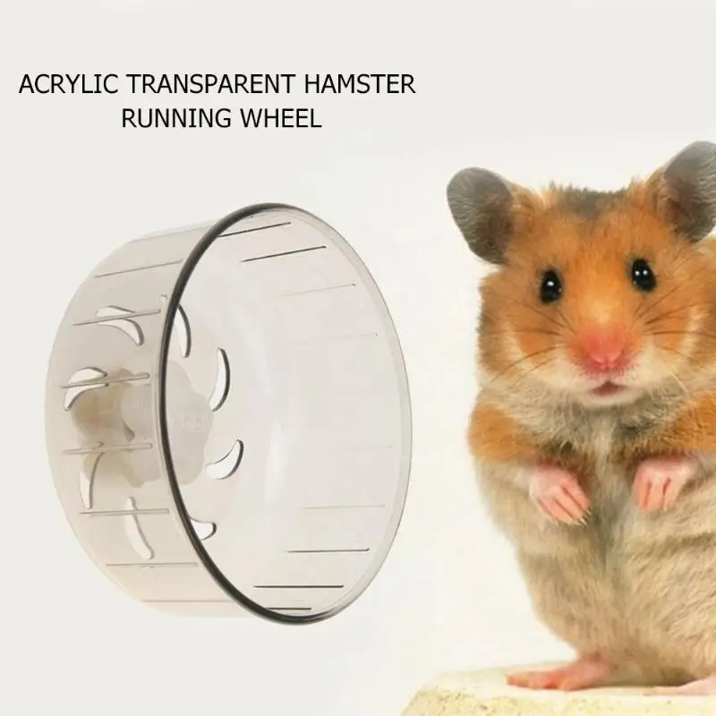 Hamster Running Wheels Transparent Hamster Wheel Running Jogging Treadmill Silent Small Pet Supplies Hamster Jogging Wheel
Hamster Running Wheels Transparent Hamster Wheel Running Jogging Treadmill Silent Small Pet Supplies Hamster Jogging Wheel