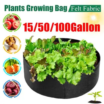 15/50/100 Gallon Ultra Capacity Plant Seedling Grow Bags Pot Garden Potato Strawberry Fabric Vegetable Jardin Seedling Grow Pot
15/50/100 Gallon Ultra Capacity Plant Seedling Grow Bags Pot Garden Potato Strawberry Fabric Vegetable Jardin Seedling Grow Pot