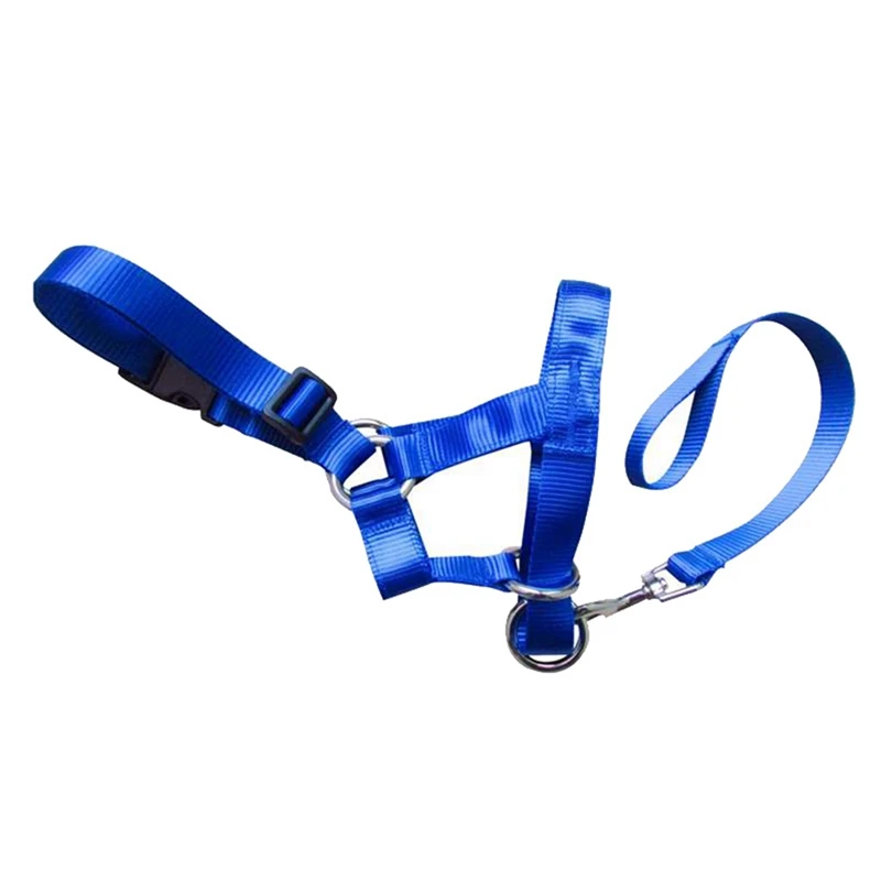 DN0570L (1)