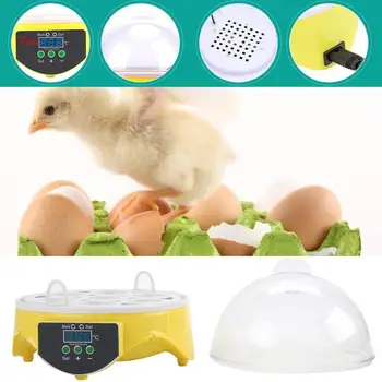 Immediate Shipping 7 Eggs Capacity Eggs Bird Incubator Egg Rack Tray Automatic Intelligent Control Quail Parrot Incubation Tool
Immediate Shipping 7 Eggs Capacity Eggs Bird Incubator Egg Rack Tray Automatic Intelligent Control Quail Parrot Incubation Tool