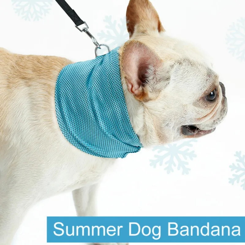 #2Instant Cooling Pet Bandana Dog Scarf Cooling Collars Pet Summer Sunstroke Prevention Cooling Towel Wrap Neck For DogsCM
#2Instant Cooling Pet Bandana Dog Scarf Cooling Collars Pet Summer Sunstroke Prevention Cooling Towel Wrap Neck For DogsCM