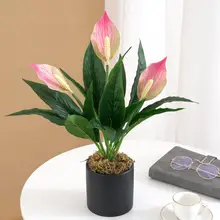 Beautiful Fine Texture Artificial Flower Vivid Handmade Plastic Simulation Spathiphyllum for Home
Beautiful Fine Texture Artificial Flower Vivid Handmade Plastic Simulation Spathiphyllum for Home