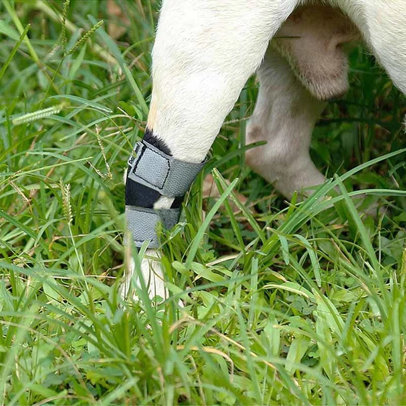 shurt dog leg brace(11)