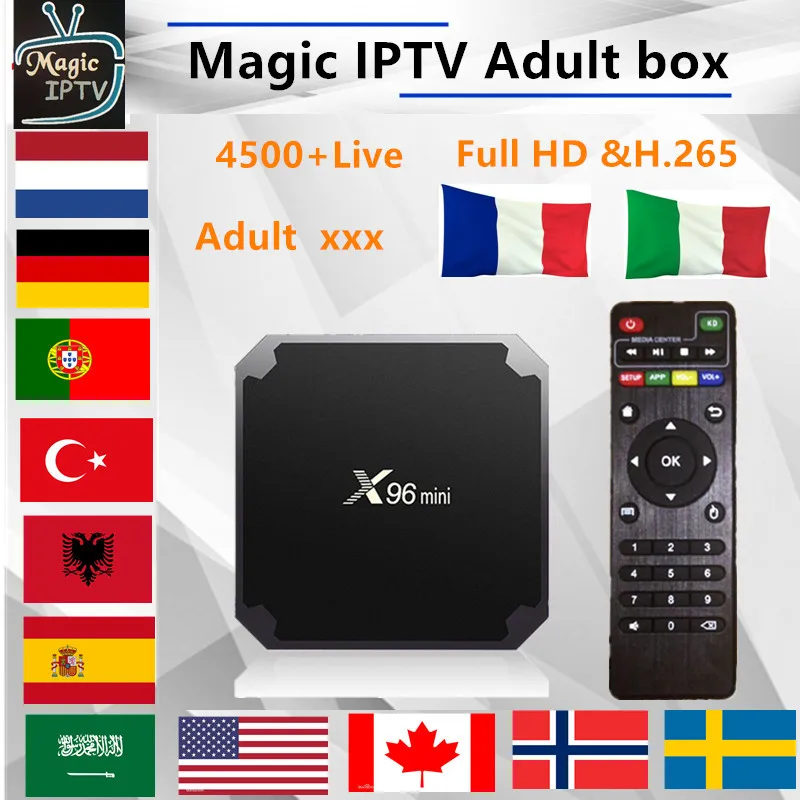 X96 MINI android TV BOX 1 Year Europe IPTV Subscription France UK German Arabic Dutch Sweden French Poland Portugal TV IPTV M3U
X96 MINI android TV BOX 1 Year Europe IPTV Subscription France UK German Arabic Dutch Sweden French Poland Portugal TV IPTV M3U