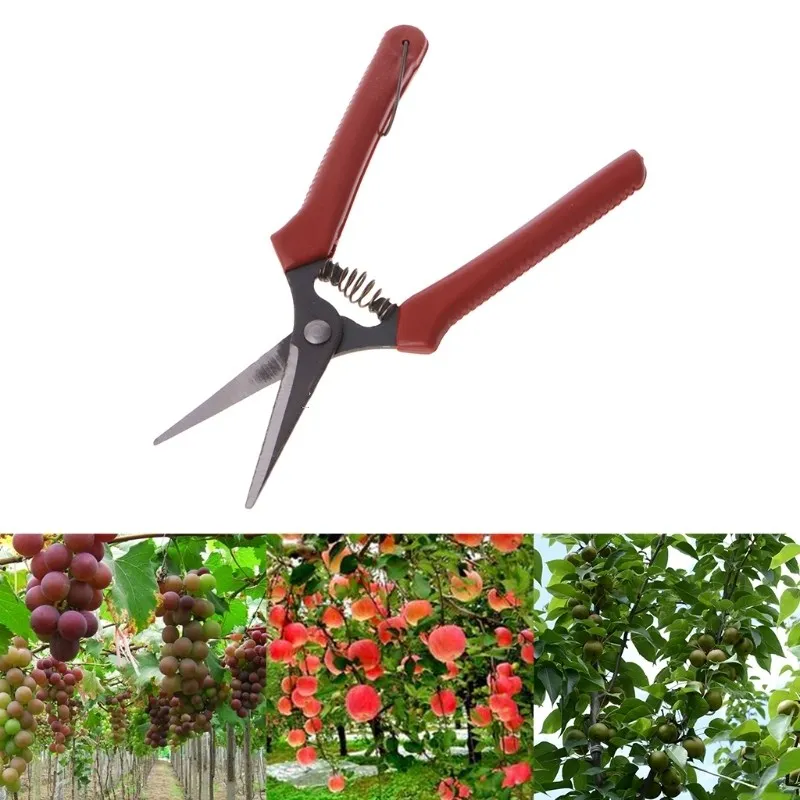 

Garden tools Free postage Carbon Steel Head Gardening Scissors Cutting Branch Shears Bypass Pruner Fruit picking shears