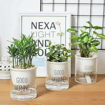 Automatic Watering Flower Pots Ceramic Succulent Plant Flower Pot with Glass Water Container Planters Flower Pots Garden Decor n
Automatic Watering Flower Pots Ceramic Succulent Plant Flower Pot with Glass Water Container Planters Flower Pots Garden Decor n