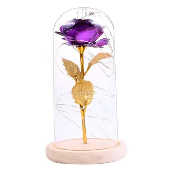 New Gold Foil Rose Flower Glass Cover LED Light Luminous lamp With Wood Base Wedding Decoration Valentine's Gift
New Gold Foil Rose Flower Glass Cover LED Light Luminous lamp With Wood Base Wedding Decoration Valentine's Gift