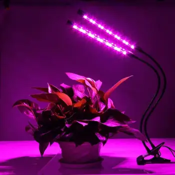 Timing Energy Saving Plants Growth Light Plant Lamp Flower Hydroponic Eco-Friendly Led Grow Light High Brightness
Timing Energy Saving Plants Growth Light Plant Lamp Flower Hydroponic Eco-Friendly Led Grow Light High Brightness