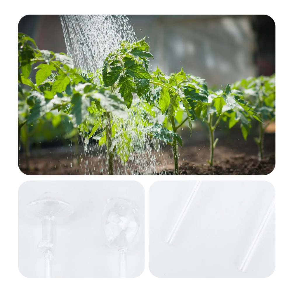 2 Pcs Glass Watering Device Prime High Quality Durable Sturdy Water Device for Home Garden
2 Pcs Glass Watering Device Prime High Quality Durable Sturdy Water Device for Home Garden