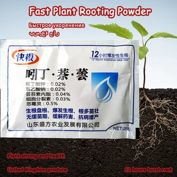 25g Bonsai Fast Plant Growth Root Medicinal Hormone Regulators Growing Seedling Recovery Germination Vigor Aid Fertilizer Garden
25g Bonsai Fast Plant Growth Root Medicinal Hormone Regulators Growing Seedling Recovery Germination Vigor Aid Fertilizer Garden