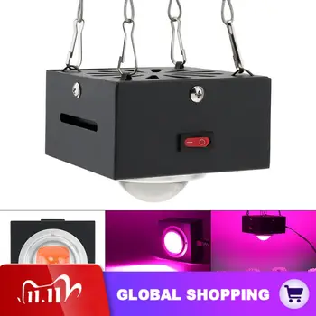 300W Waterproof COB LED Grow Light with Shell Full Spectrum Indoor LED Lamp Plants Grow Box Tent / Flowers Seedlings Germination
300W Waterproof COB LED Grow Light with Shell Full Spectrum Indoor LED Lamp Plants Grow Box Tent / Flowers Seedlings Germination