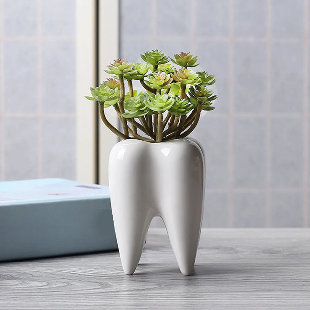White Ceramic Fleshy Small Flowerpot Tooth Shape Table Plant Pot Culture Flower Pot Home Decoration Bonsai Pots For Green Plants
White Ceramic Fleshy Small Flowerpot Tooth Shape Table Plant Pot Culture Flower Pot Home Decoration Bonsai Pots For Green Plants