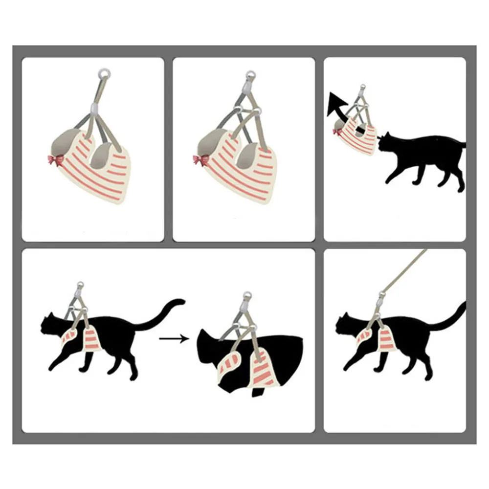 Pet leash set