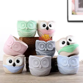 3/6pcs Small Creamic Flower Pot Succulent Plant Flower Pot Decorative Owl Plant Pot Storage Container for Home Garden
3/6pcs Small Creamic Flower Pot Succulent Plant Flower Pot Decorative Owl Plant Pot Storage Container for Home Garden