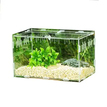 Climbing Pet Feeding Box Acrylic Feeding Box Transparent panorama suitable for breeding spiders, scorpions, praying mantis
Climbing Pet Feeding Box Acrylic Feeding Box Transparent panorama suitable for breeding spiders, scorpions, praying mantis