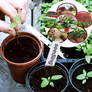 OUNONA 100PCS Lightweight Plastic Plant Flower Pots Nursery Seedlings Pot Container Seed Starting Pots and 100PCS Plants Tags 
OUNONA 100PCS Lightweight Plastic Plant Flower Pots Nursery Seedlings Pot Container Seed Starting Pots and 100PCS Plants Tags