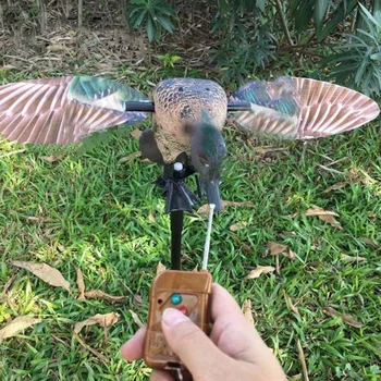 Durable Spinning Wing Decoys PE Hunting Shooting Hunting Feeder Mallards Remote Control Bird Attraction Hunting Decoy 
Durable Spinning Wing Decoys PE Hunting Shooting Hunting Feeder Mallards Remote Control Bird Attraction Hunting Decoy