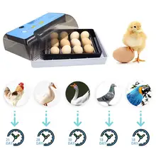 12 Eggs Incubator Automatic Poultry Incubator Temperature Control Brooder Automatic Hatch Farm Chicken Quail Duck Egg Incubator
12 Eggs Incubator Automatic Poultry Incubator Temperature Control Brooder Automatic Hatch Farm Chicken Quail Duck Egg Incubator
