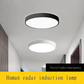 LED Emergency Induction Ceiling Light Radar Induction Light Stair Hallway Aisle Garage Voice Control Induction Ceiling Light
LED Emergency Induction Ceiling Light Radar Induction Light Stair Hallway Aisle Garage Voice Control Induction Ceiling Light