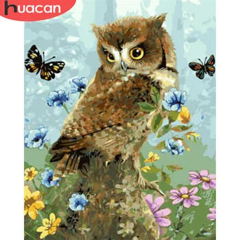 HUACAN DIY Pictures By Number Owl Kits Drawing On Canvas Painting By Numbers Animal Hand Painted Picture Art Gift Home Decor
HUACAN DIY Pictures By Number Owl Kits Drawing On Canvas Painting By Numbers Animal Hand Painted Picture Art Gift Home Decor