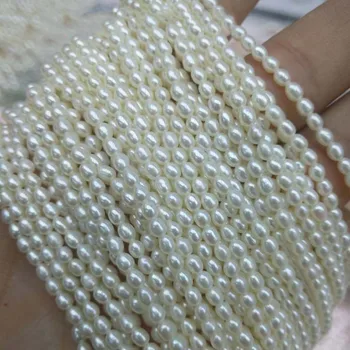 2-3mm Bright Light Natural Freshwater Pearl AAA Mini Rice Shape Beads For Jewelry Making DIY Women Necklace Bracelet 15" Strand
2-3mm Bright Light Natural Freshwater Pearl AAA Mini Rice Shape Beads For Jewelry Making DIY Women Necklace Bracelet 15" Strand
