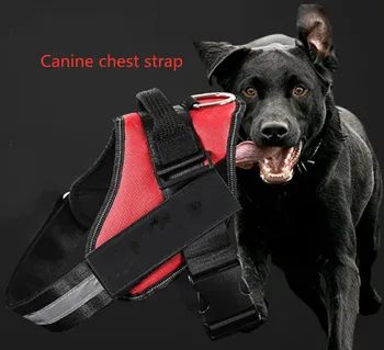 Explosion-proof explosion-proof pet traction rope chest strap dog vest type dog rope chest strap
Explosion-proof explosion-proof pet traction rope chest strap dog vest type dog rope chest strap