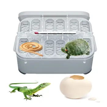 Reptile Breeding Box Professional Reptile Hatching Box Lizard Small Climbing Pet Advanced Incubator With Egg Tray
Reptile Breeding Box Professional Reptile Hatching Box Lizard Small Climbing Pet Advanced Incubator With Egg Tray