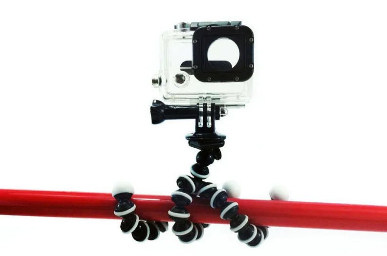 3150374403_740426466