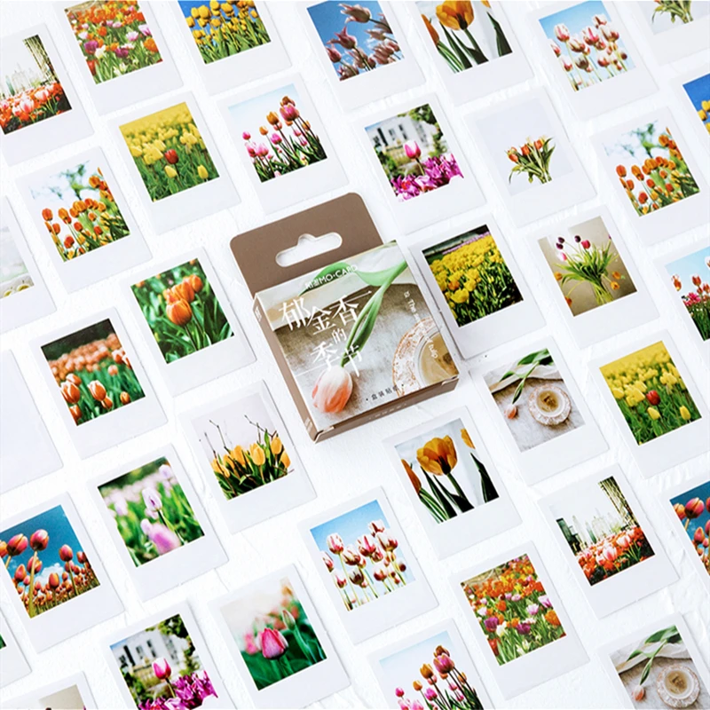 46pcs The Season of Tulip Stickers Set 44mm Mini Flower Sticker for Decoration Seal Album Frame Diary Student Kids Gift F384
46pcs The Season of Tulip Stickers Set 44mm Mini Flower Sticker for Decoration Seal Album Frame Diary Student Kids Gift F384