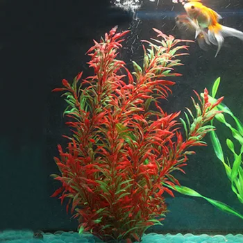 Simulation Dense Green Plant Fish Tank Landscaping Decoration Environmental Protection Plastic Aquatic Plants Aquarium Supplies 
Simulation Dense Green Plant Fish Tank Landscaping Decoration Environmental Protection Plastic Aquatic Plants Aquarium Supplies