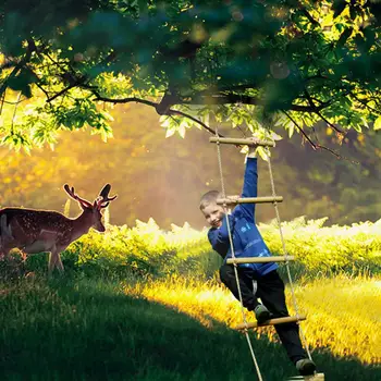 Outdoor Toys Children's Playground Sports Climbing Toys Climbing Rope Wooden Five-level Ladder Gymnastic Climbing Rope Ladder
Outdoor Toys Children's Playground Sports Climbing Toys Climbing Rope Wooden Five-level Ladder Gymnastic Climbing Rope Ladder