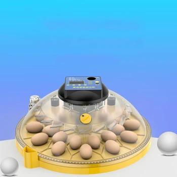 Small household incubator automatic intelligent chicken duck dove incubator parrot incubator automatic temperature control
Small household incubator automatic intelligent chicken duck dove incubator parrot incubator automatic temperature control