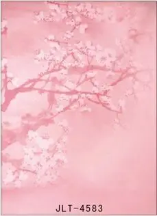 Vinyl Custom Photography Backdrops Prop Children Scenery Theme Digital Photo Studio Background 4583
Vinyl Custom Photography Backdrops Prop Children Scenery Theme Digital Photo Studio Background 4583