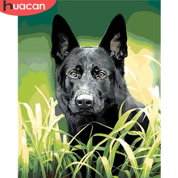 HUACAN Painting By Numbers Animal Drawing On Canvas HandPainted Art Gift DIY Picture By Number Dog Kits Home Decoration 
HUACAN Painting By Numbers Animal Drawing On Canvas HandPainted Art Gift DIY Picture By Number Dog Kits Home Decoration