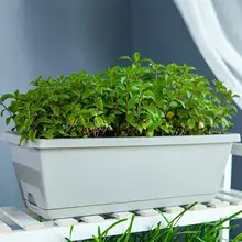 Rectangular Planting Trough Family Balcony Planting Large Planting Rectangular And Vegetables For Pot Extra Groove Flowers R8D5
Rectangular Planting Trough Family Balcony Planting Large Planting Rectangular And Vegetables For Pot Extra Groove Flowers R8D5