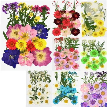 Pressed Flowers Mini Dried Flowers DIY Frame Scrapbooking Crafts Decor Preserved Flower Heads Wedding Party Home Decor Supplies
Pressed Flowers Mini Dried Flowers DIY Frame Scrapbooking Crafts Decor Preserved Flower Heads Wedding Party Home Decor Supplies