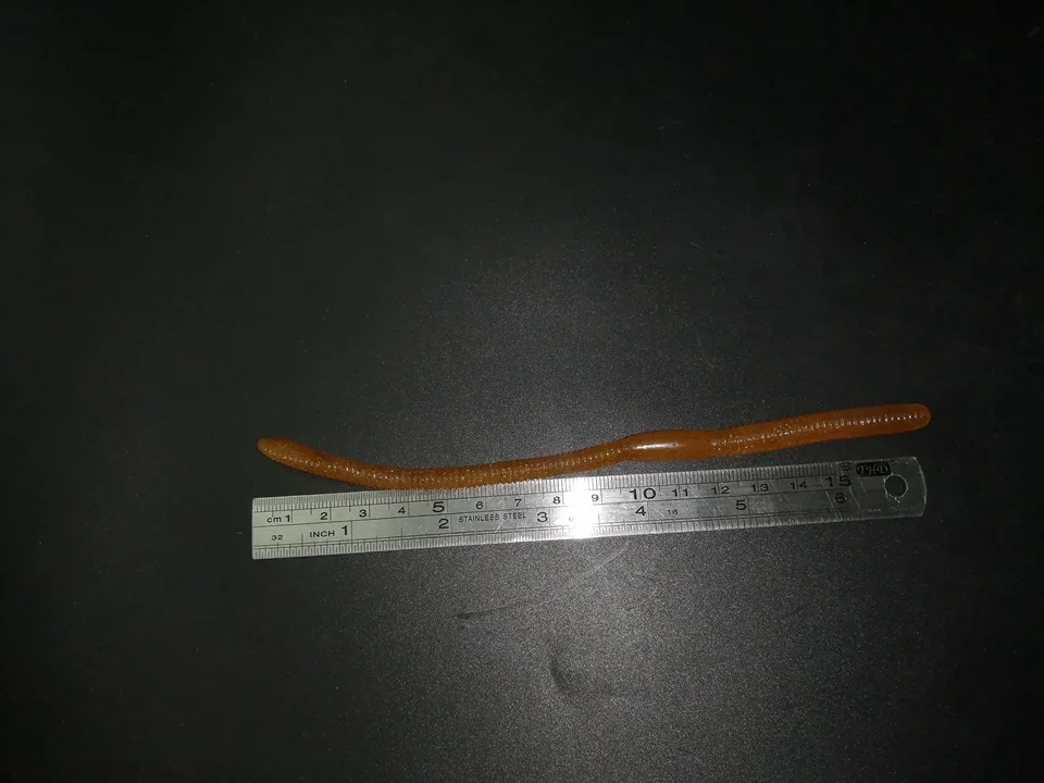 I921 (8)