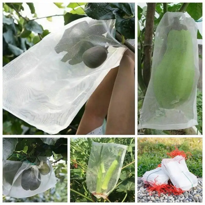 20 Pcs Fruit Protection Bag Ventilated Light-Transmissive for Home Garden Fruits Vegetables Plant Cover Insect-proof Bag
20 Pcs Fruit Protection Bag Ventilated Light-Transmissive for Home Garden Fruits Vegetables Plant Cover Insect-proof Bag