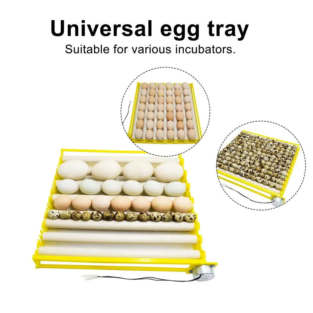 220v/110v Egg Incubator EggTray Automatic Incubator Tray Multi-function Roller For Chickens Ducks Goose Birds
220v/110v Egg Incubator EggTray Automatic Incubator Tray Multi-function Roller For Chickens Ducks Goose Birds