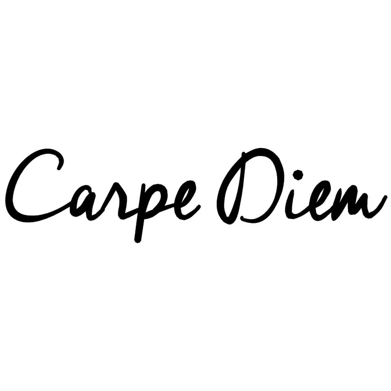 Creative CARPE DIEM Fashion Text Car Sticker Accessories Vinyl PVC 16cm*4cm Motorcycle Car Styling Decal
Creative CARPE DIEM Fashion Text Car Sticker Accessories Vinyl PVC 16cm*4cm Motorcycle Car Styling Decal