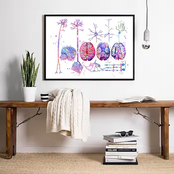 Wall art modular brain picture canvas nervous system home decoration anatomy poster neuron living room frameless painting
Wall art modular brain picture canvas nervous system home decoration anatomy poster neuron living room frameless painting