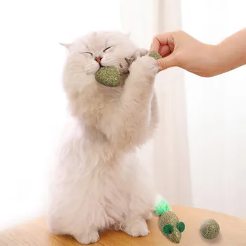 Pet Cat Removes Hairballs To Chew On Wood Teng Toys Pet Soft Cats Toys Natural Catnip Chewing Teeth Cleaning Treats Cat Toys #
Pet Cat Removes Hairballs To Chew On Wood Teng Toys Pet Soft Cats Toys Natural Catnip Chewing Teeth Cleaning Treats Cat Toys #